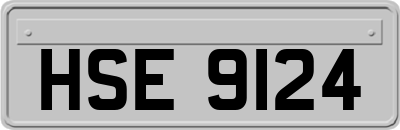 HSE9124
