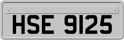 HSE9125