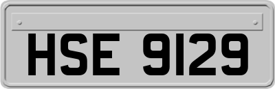 HSE9129