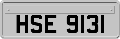 HSE9131