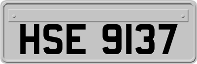 HSE9137