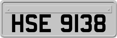 HSE9138