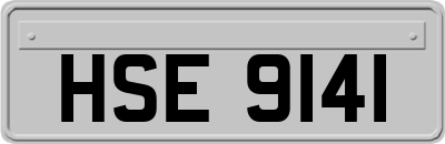 HSE9141