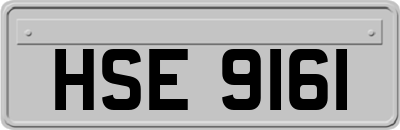 HSE9161