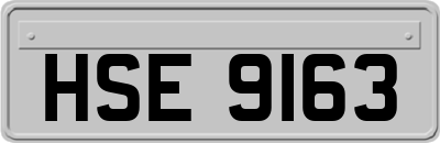 HSE9163