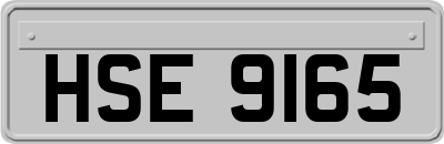 HSE9165