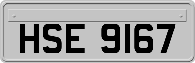 HSE9167