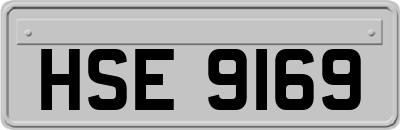 HSE9169