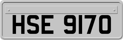 HSE9170