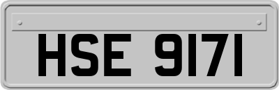 HSE9171