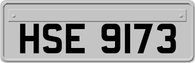 HSE9173