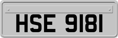 HSE9181