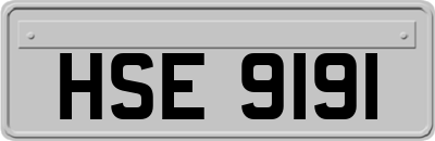 HSE9191