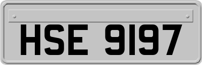 HSE9197