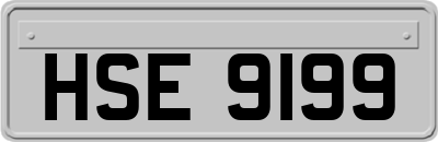 HSE9199