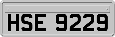HSE9229