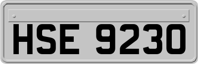 HSE9230
