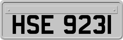 HSE9231