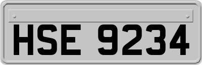 HSE9234