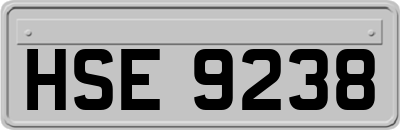 HSE9238