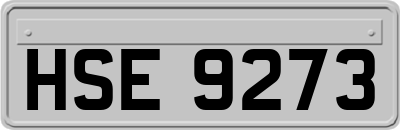 HSE9273
