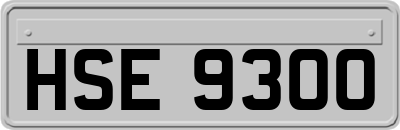 HSE9300