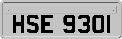 HSE9301