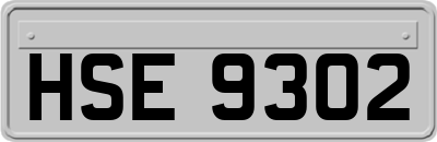 HSE9302