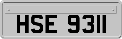 HSE9311