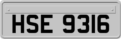 HSE9316