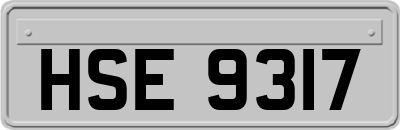 HSE9317