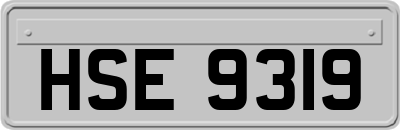 HSE9319