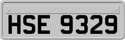 HSE9329