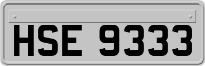 HSE9333