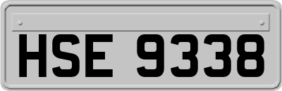 HSE9338