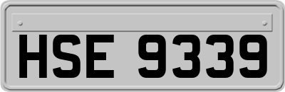 HSE9339