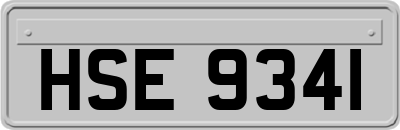 HSE9341