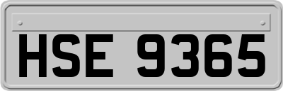 HSE9365