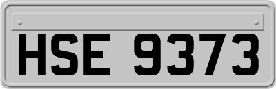 HSE9373