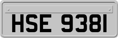 HSE9381