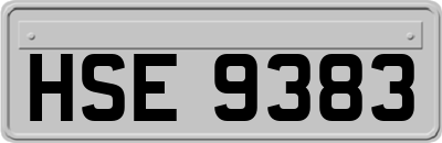 HSE9383