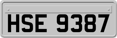 HSE9387