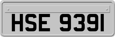 HSE9391