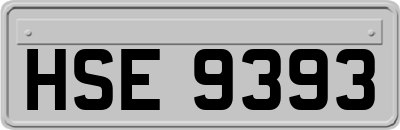 HSE9393