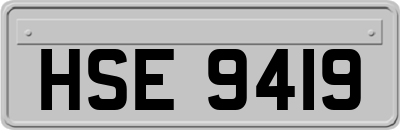 HSE9419