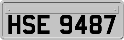HSE9487