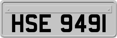 HSE9491