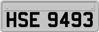 HSE9493