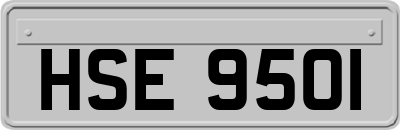 HSE9501