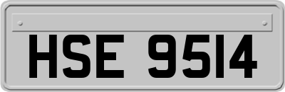 HSE9514